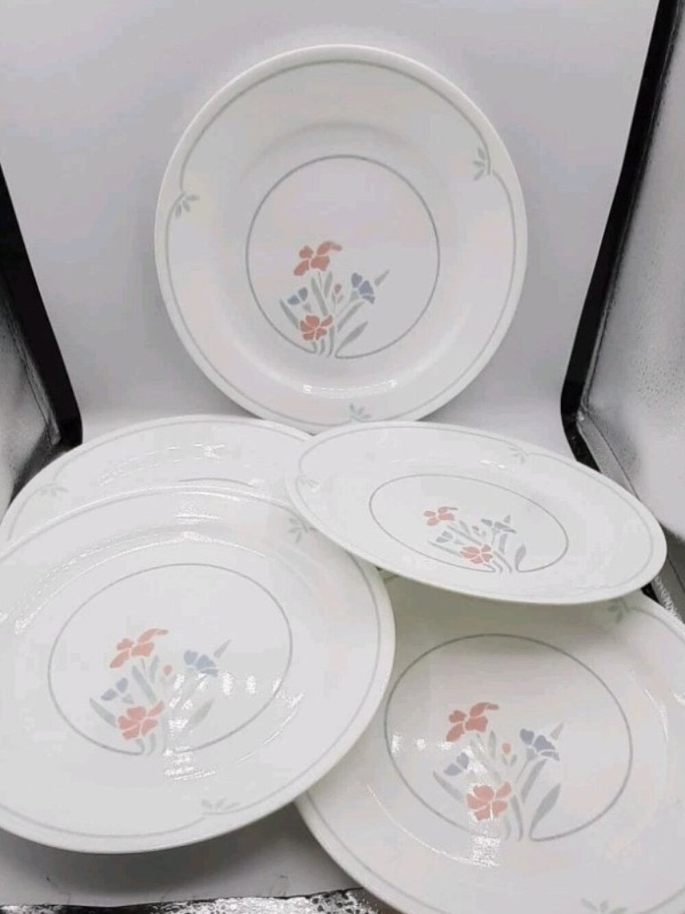 Vintage Set of 5 Corning Corelle 10 1/4” Stencil Garden Dinner Plates